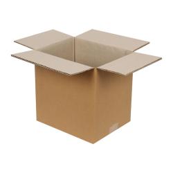 25x20x25 cm Doppelt Gewelltes Paket Echoliner