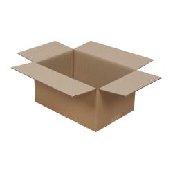 30x20x15 cm Doppelt Gewellte Echoliner-Box