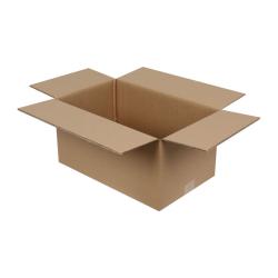 40x25x20 cm Doppelt Gewelltes Paket Echoliner
