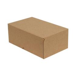 17x12,5x5,5 cm Kraft E-Commerce Versandkarton (4 Punkte)