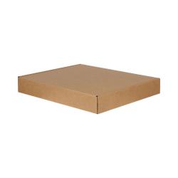 57x46x8 cm Doppelt Gewellte Ziplock-Box Kraft