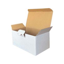 17,5x10x8,5 cm Fertige Weiße Box